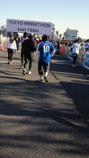 201302241534000.jpg