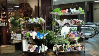 201403281448000.jpg