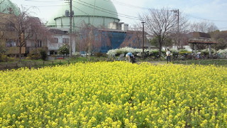 201403291251000.jpg