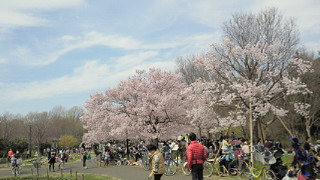 201403291251001.jpg