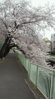 201404051241000.jpg