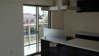 201404051325000.jpg