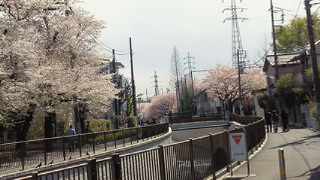 201404051343000.jpg