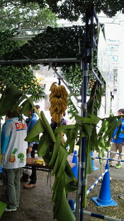 201411021413000.jpg