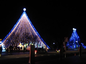 seiya-2006