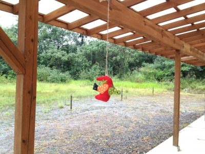 とりっこ