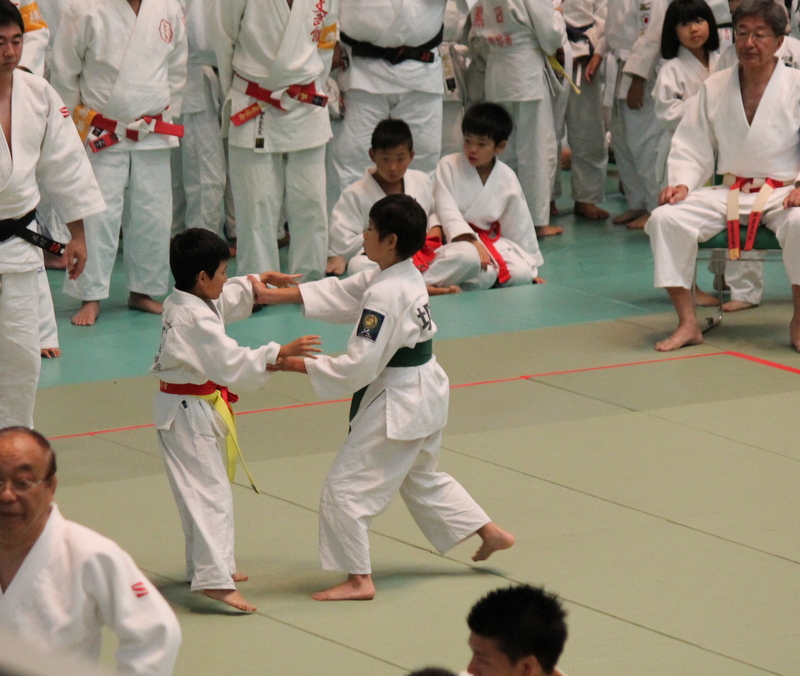 61-IMG_3119.JPG