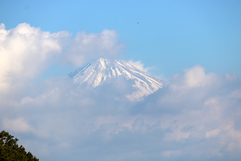 01-IMG_8180.JPG