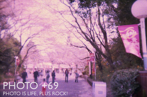 HOLGA 135BC PARADE 100