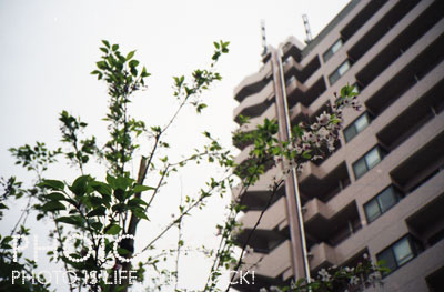 FLASH FUJICA Date FUJICOLOR 記録用カラーフィルム ISO100