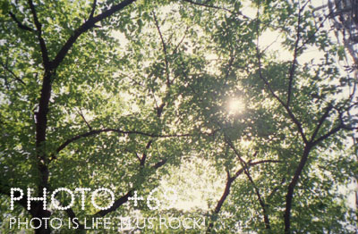FUJICA COMPACT 35 Kodak Super Gold 400