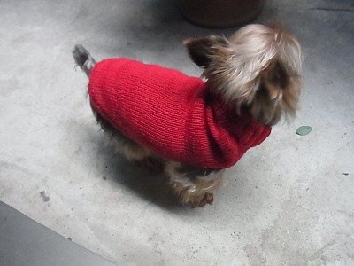 ベルクリ クレープ 3ply 小型犬用 手編みのセーター