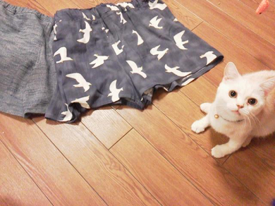 リバティ ショートパンツ 1m ハギレ