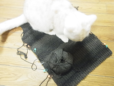 リッチモア パーセントグラデーション