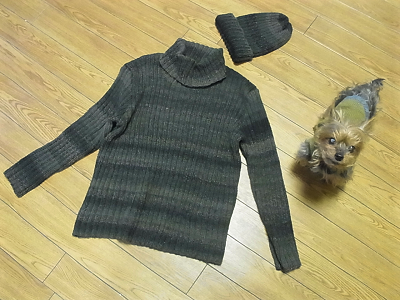 リッチモア パーセントグラデーション リブ編みタートルネック ワッチキャップ ニット帽