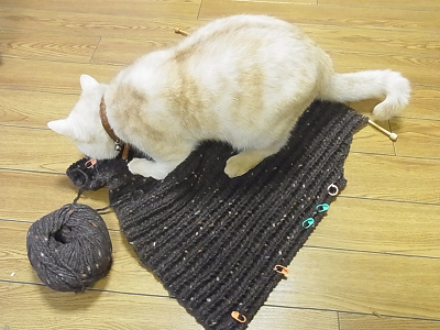 リッチモア スターメツィード 毛糸だま