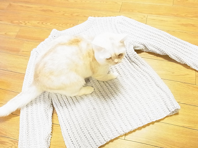 リッチモア スターメ 毛糸だま