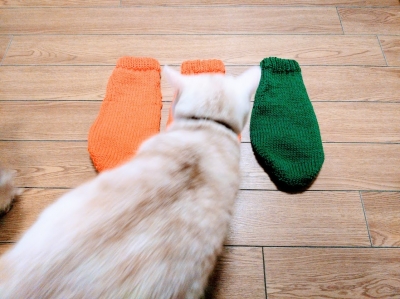 小さな犬のセーター 手編み 犬 セーター