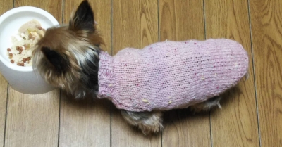 オリムパス メイクメイク ココット ピンク ツィード 小型犬 手編みセーター