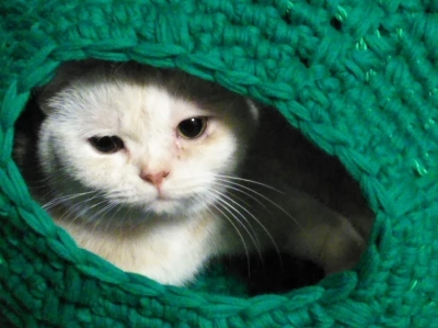 手編み 猫ハウス ドーム型 猫ちぐら 猫つぐら 手作り 手づくり