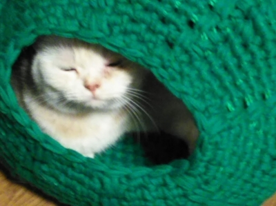 手編み 猫ハウス ドーム型 猫ちぐら 猫つぐら 手作り 手づくり
