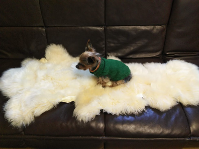ムートン ハギレセット ムートン&インテリア ノーブル 猫 犬 マット