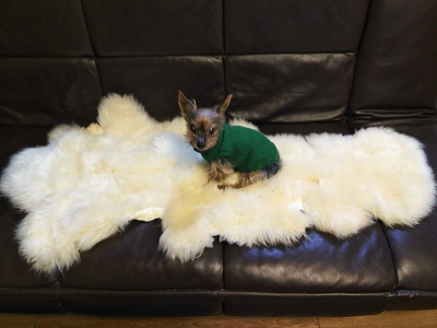 ムートン ハギレセット ムートン&インテリア ノーブル 猫 犬 マット