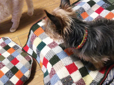 手編み 編み込み 犬のベッド 猫のベッド ファスナーつき