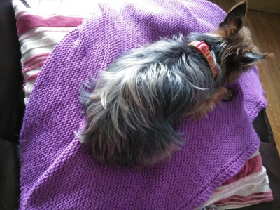 ravelry ダイアゴナルブランケット リッチモア コットンウールパフ