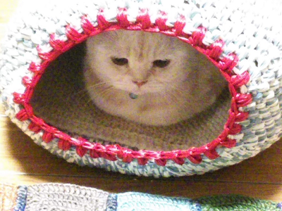 ねこのざぶとん キャットドーム