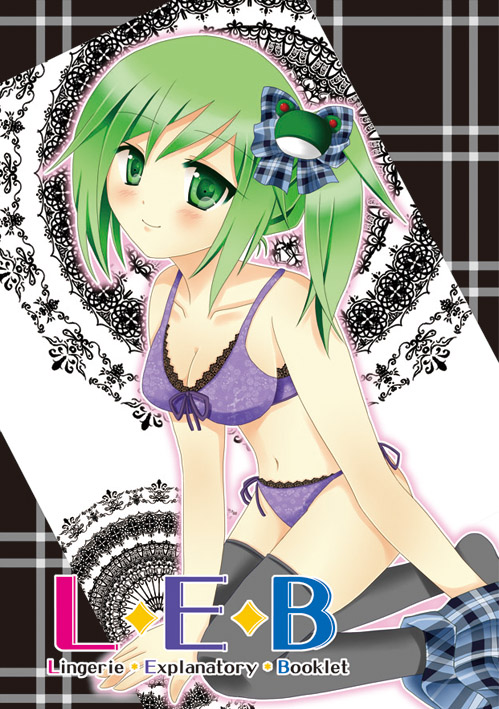 C79サンプル
