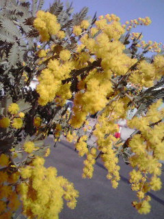 2013030915090000.jpg