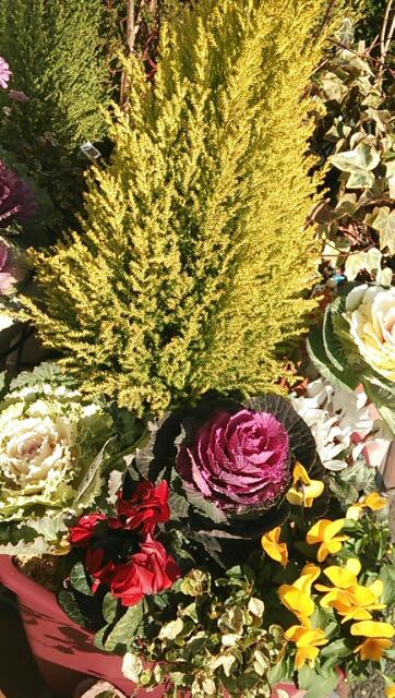 20140114_143549.jpg