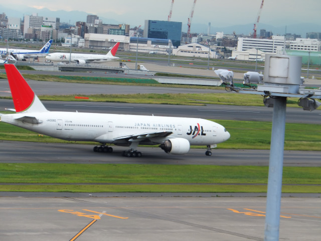 2012-06-10_4968.JPG