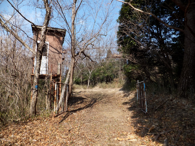 2013-02-01_10075.JPG