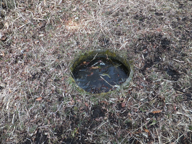 2013-02-01_10094.JPG