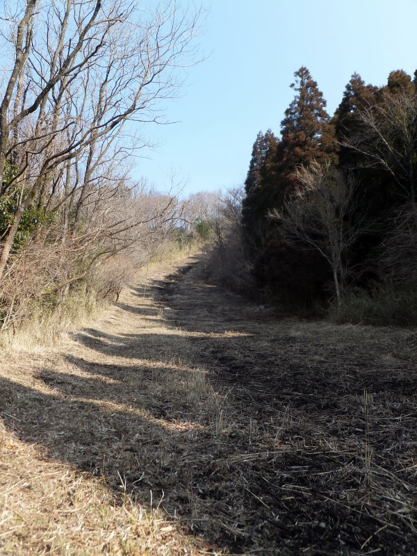 2013-02-01_10097.JPG
