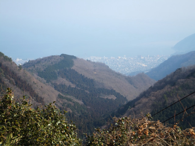 2013-02-01_10127.JPG