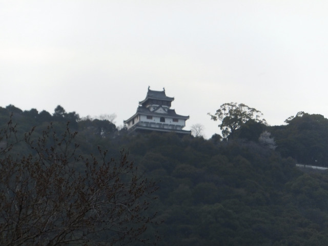2013-03-30_11917.JPG