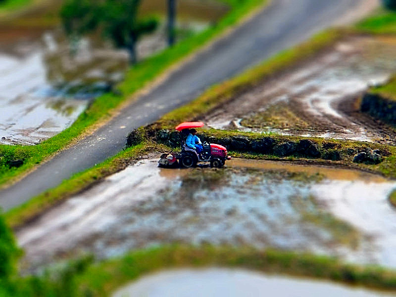 2012-05-29_2762-tiltshift.jpg