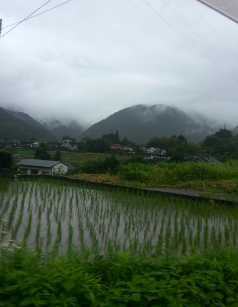 20130630_132513.JPG