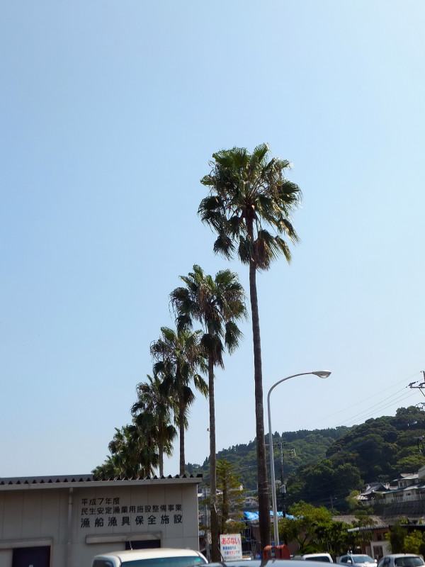 2013-09-23_14455.JPG