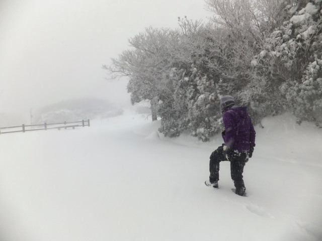 DSCF7586.JPG