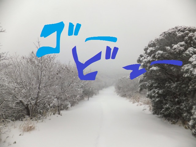 DSCF7607.JPG