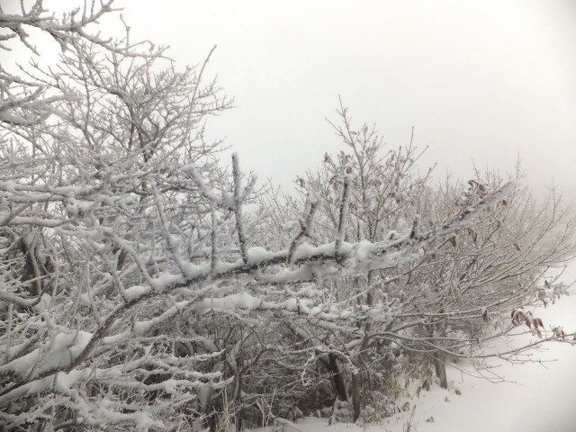 DSCF7608.JPG