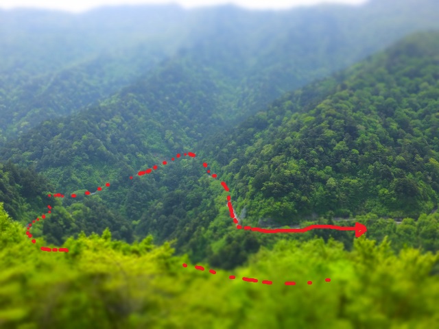 DSCF1549 - ¥³¥Ô¡¼.JPG
