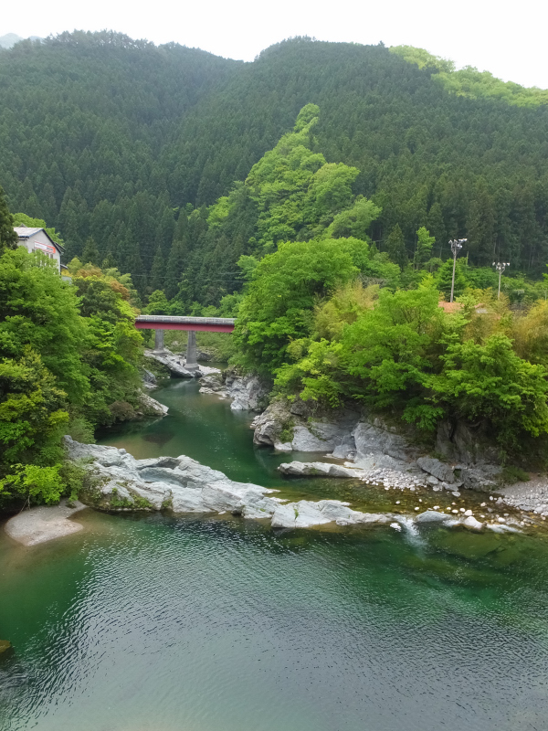DSCF1554.JPG