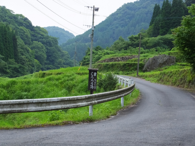 DSCF1980.JPG