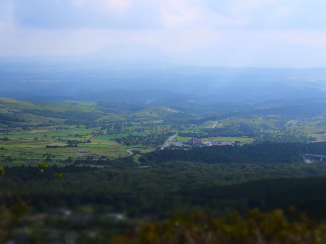 DSCF2563.JPG