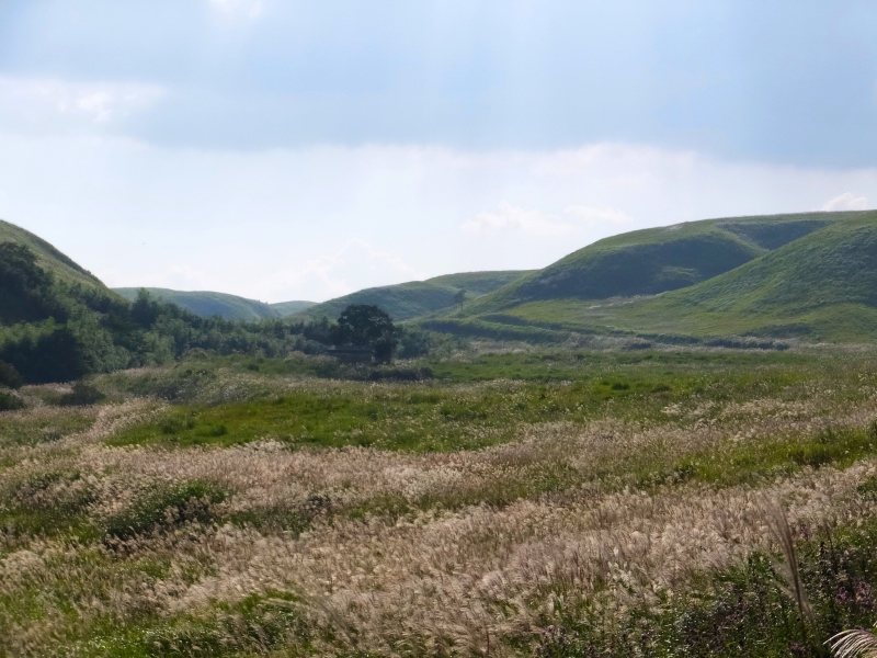 DSCF2582.JPG